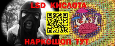 меф Гатчина