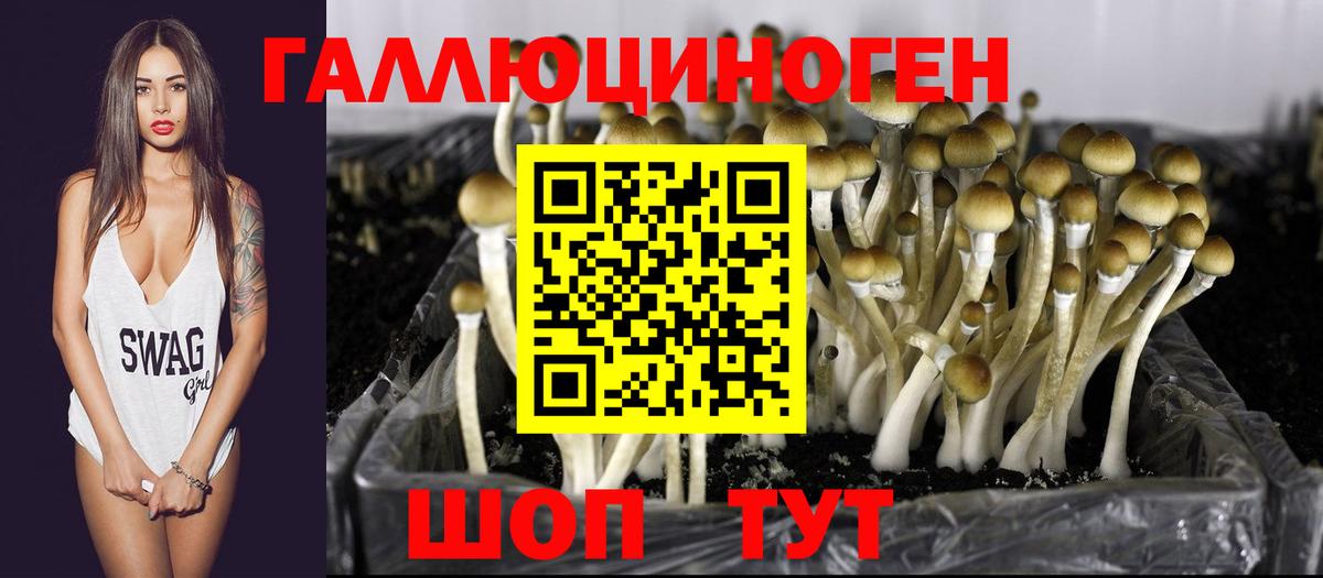 Псилоцибиновые грибы Magic Shrooms  Псилоцибиновые грибы Psilocybe  Люберцы  где можно купить   Вход с VPN 