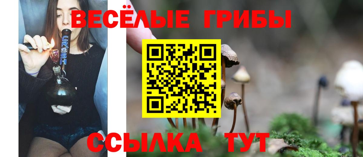 Галлюциногенные грибы MAGIC MUSHROOMS Люберцы